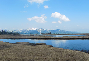 アヤメ平