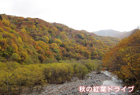 紅葉ドライブ