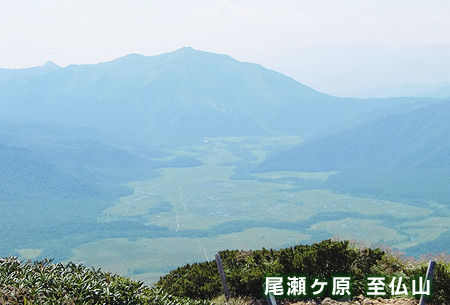 尾瀬ヶ原　至仏山　水芭蕉