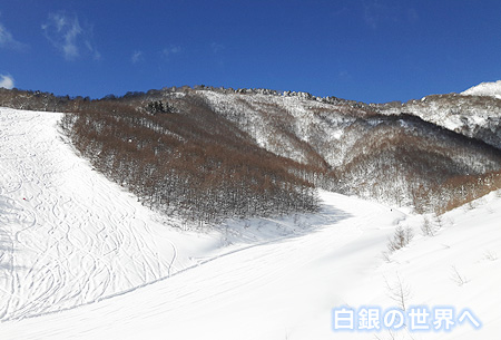 上質な雪質のオグナスキー場