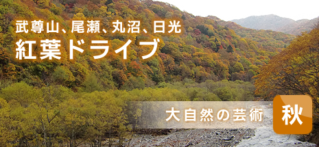 大自然の芸術　秋の紅葉ドライブ