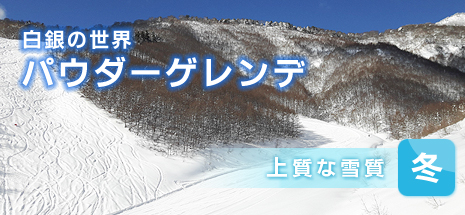 上質な雪質　白銀の世界へ