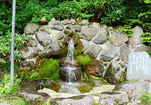 花咲の出水