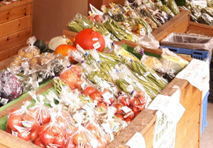 高原野菜